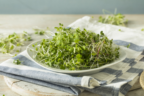 Salad topped with fresh microgreens