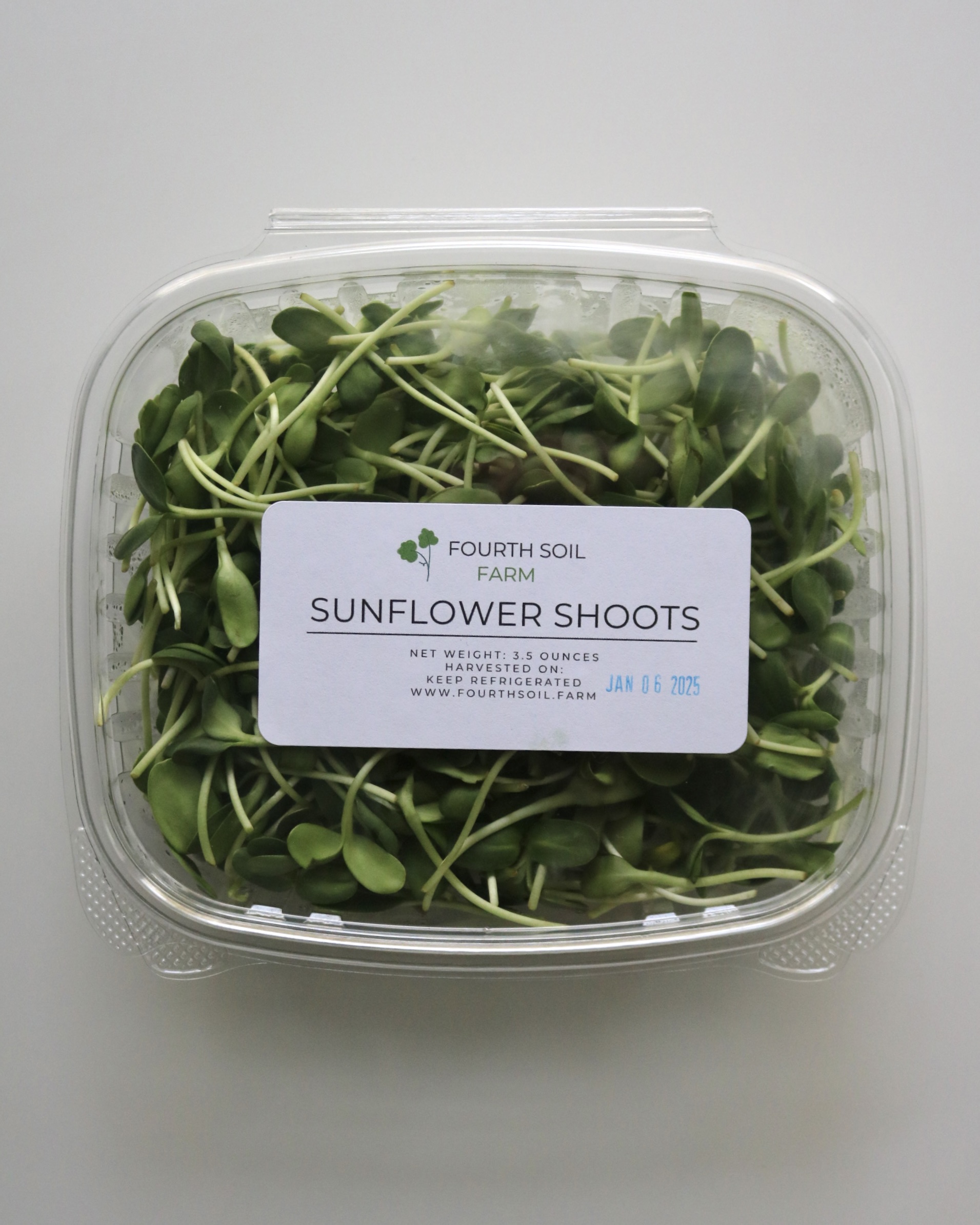 Sunflower shoots